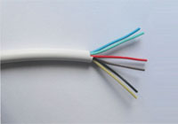 金鱗羽國標AVVR控制線