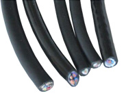 金鱗羽耐油聚氨酯護套電纜